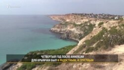 Четвертый год оккупации. Год протестов и плохого сезона (видео)