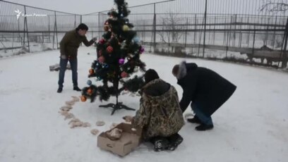 Видео Новогодний Снег Видео Новогодний Снег