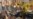 16x9 Image