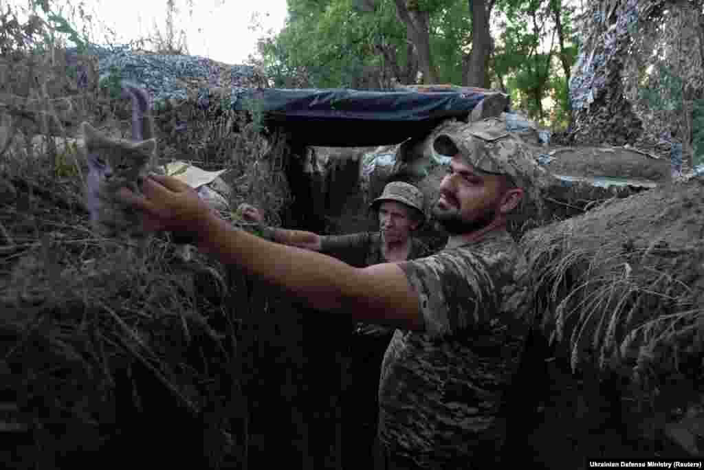 Украінскі вайсковец з коцікам у акопе ў Луганскай вобласьці.