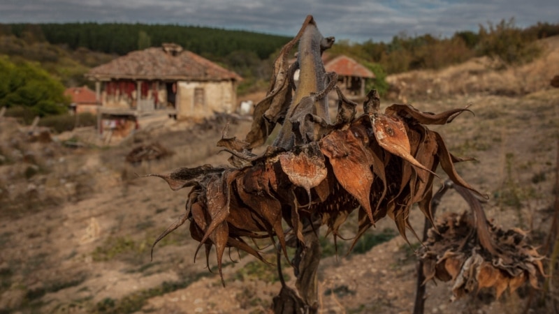 Фотографиите од Колонијата „Старо Нагоричане“ со награди од Аргентина до Украина