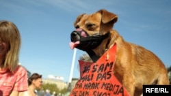 Protest novinara zbog promena Zakona o medijima, 2009.