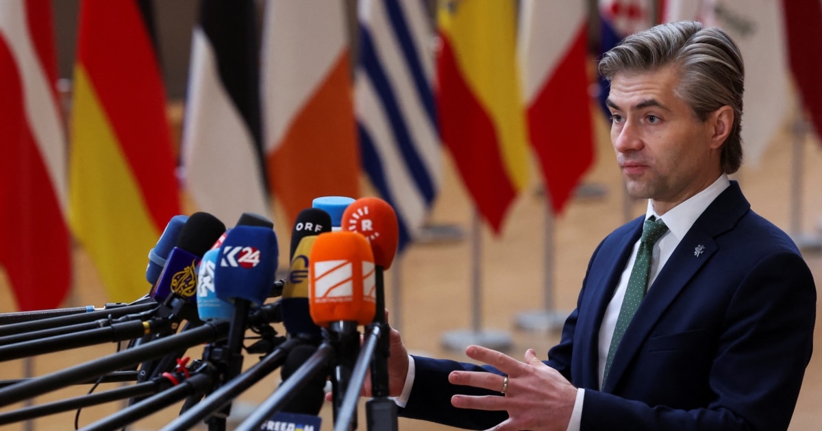 ლიეტუვა: რუსეთი უკრაინის სამხედრო დრონებს გამიზნულად მიმართავს ბალტიისკენ