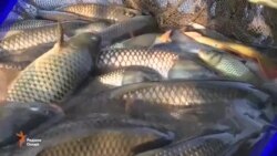 Ахбори Тоҷикистон ва ҷаҳон аз 22-уми январи 2018 (HD)