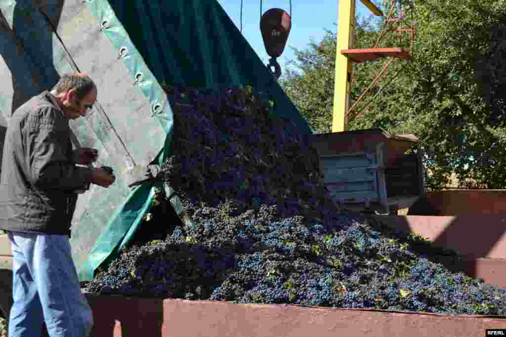 Prețuri mici, probleme mari #5