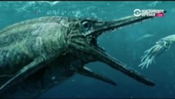 Ихтиандр из Юрского периода