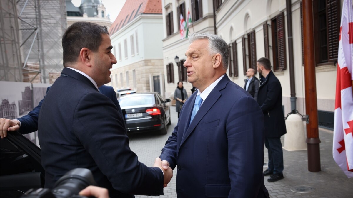 “ოცნება” და ორბანი ბრიუსელის წინააღმდეგ – პაპუაშვილის დელეგაცია ბუდაპეშტში
