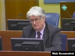 Radovan Karadžić na suđenju u Hagu, 28. veljače 2012.