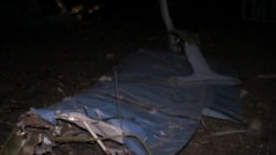 Відео з місця падіння літака у селі Промінь