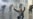 Tunisia: Tear Gas Used On Protesters
