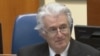 Radovan Karadžić