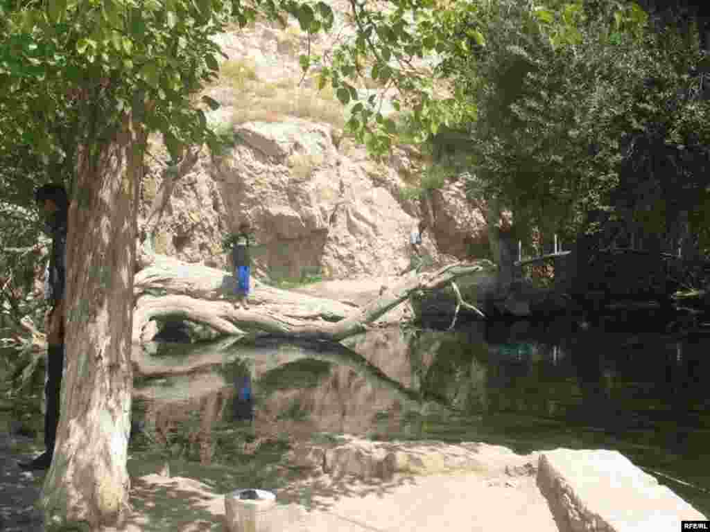 Зиёрати Чилучорчашма #49