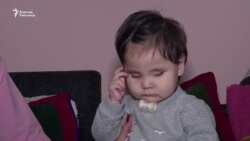 Ара төрөлгөн балдардын тарткан азабы