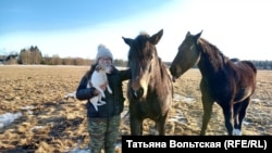 Ольга Минаева и ее кони в поле за деревней Старое Колено. Лес за этим полем собираются вырубить