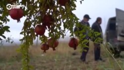 Армяне покидают территории Карабаха, переданные Азербайджану