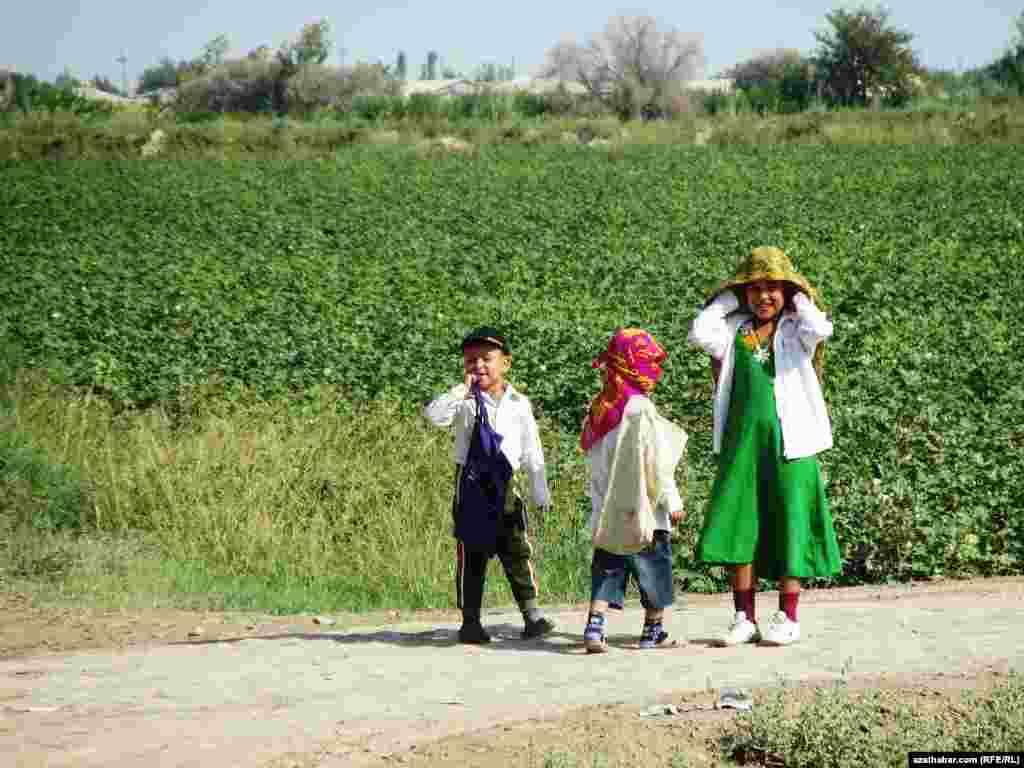 Young children in the cotton fields in Lebap Province