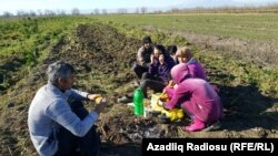 Günə 8-13 manat pul qazanmaq olur.