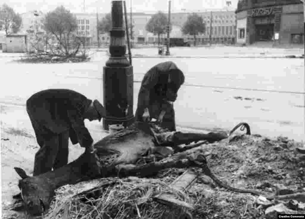 Doi bărbați taie carnea unui cal mort, în mai 1945.