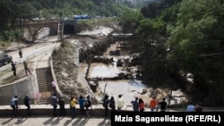 One part of Tbilisi Zoo after the deadly floods of June 14.