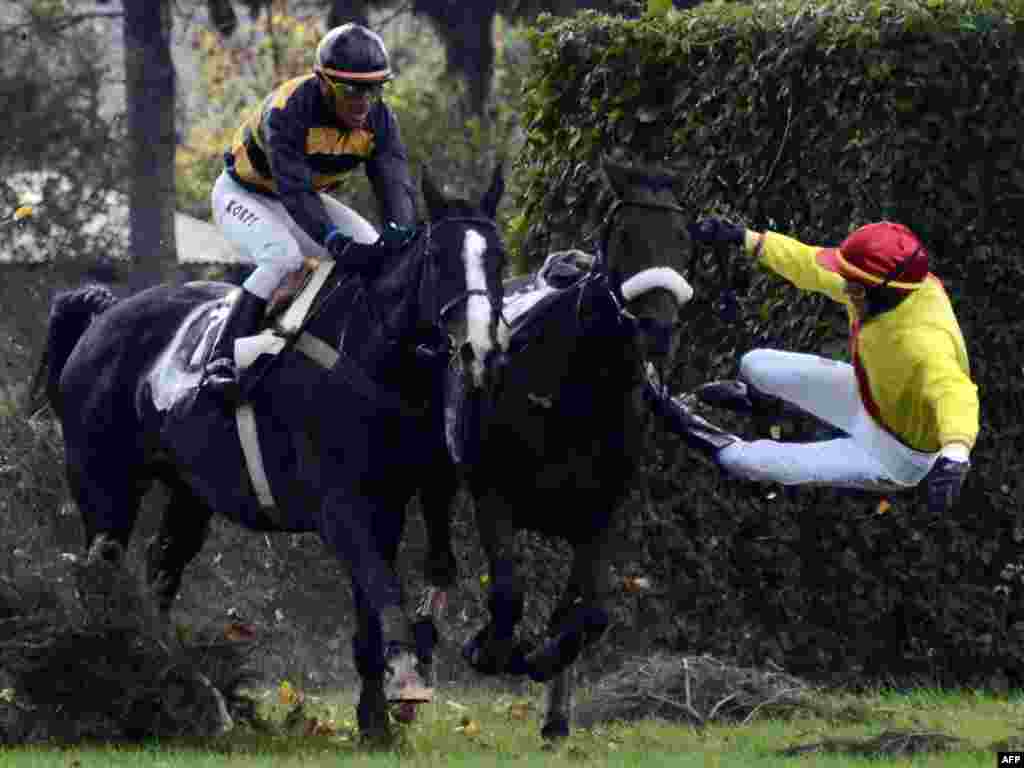 French jockey Julien Lemme falls from his horse during the Czech Grand National steeplechase in Pardubice on October 9. (Photo by Joe Klamar for AFP)