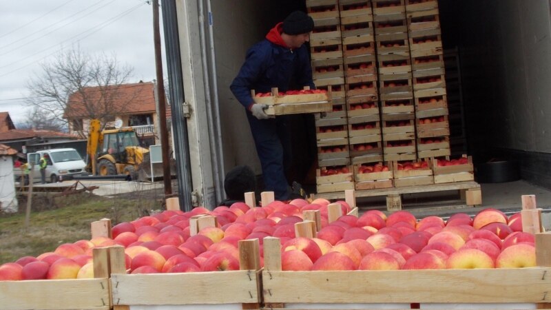 Половина од јаболката во Преспа ќе се продадат како индустриски