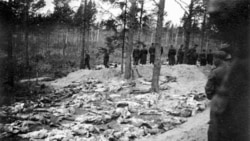 Тіла розстріляних у Ктині поляків, 1940 рік