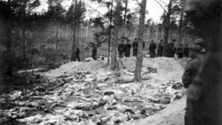 Bodies of Polish soldiers shot at Katyn in 1940.