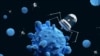 Знайти та вбити: новий нанобот знищує ракові пухлини 