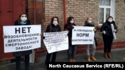 Протестная акция против завода "Электроцинк" во Владикавказе, 16 ноября 2018 года