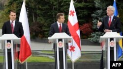 Европейские гости не стали комментировать мечты грузинского премьера, но то, что Иванишвили смог их удивить, стало понятно из слов министров иностранных дел Польши и Швеции