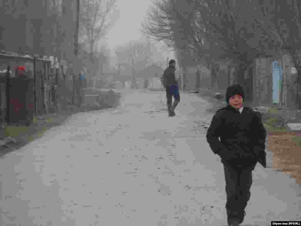 Власти Сарыагашского района говорят, что село Багыс не может появиться на карте из-за того, что работы по ратификации границы между Казахстаном и Узбекистаном еще не завершены. Жители рассказывают, что из-за этих проблем в селе не достроена школа, в Багыс не проведен газопровод.&nbsp;