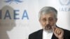 سلطانیه: ترور دانشمندان هسته‌ای دنباله خصومت علیه فعالیت اتمی ایران بود