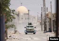 «Suriya Demokratik Qüvvələri»ni (SDF) Raqqada