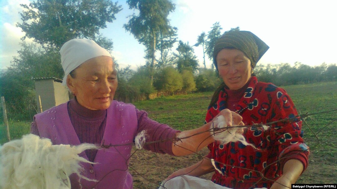 Kakesh Jumabai-Kyzy (left), a 70-year-old craftswoman living in Kyrygyzstan's remote At-Bashy region, collecting the dried wool she uses to make felt for traditional shyrdak and alakiyiz carpets.