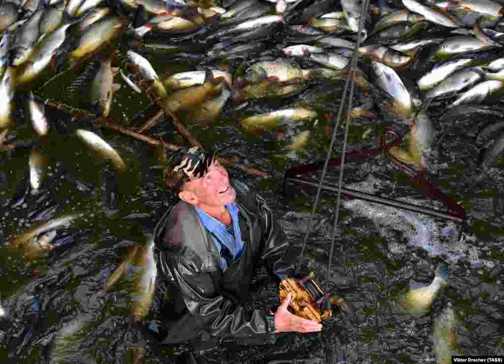 A fisherman works at the Beloye fishery in the Zhytkavichy district. (TASS/Viktor Drachev)