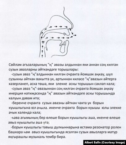 Тар анальды саңылаулар