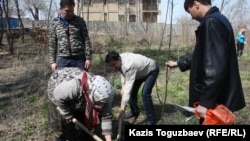 Манат Утеулиева и гражданские активисты сажают дерево. Поселок Тастыбулак Алматинской области, 5 апреля 2013 года.