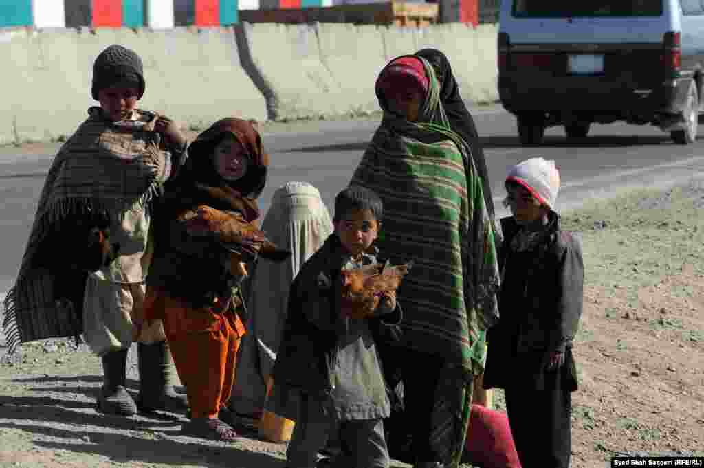 افغانستان: کندهار، افغان وړوکي ماشومان چرګې پلوري.