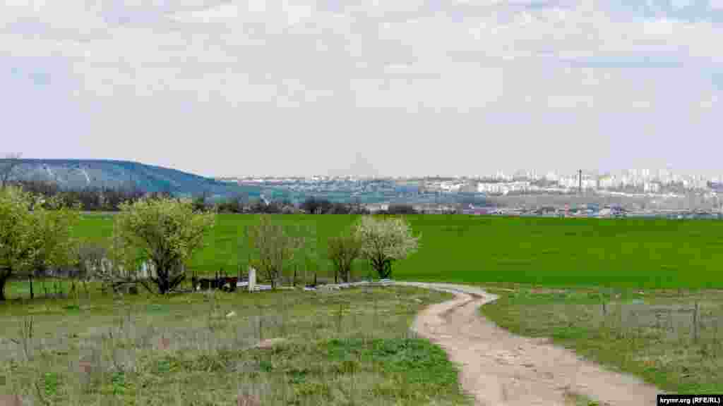 Почти сразу за этим полем озимых на окраине села начинается пригород Симферополя