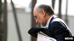Ali Akbar Salehi, head of Iran's Atomic Energy Organization (file photo)