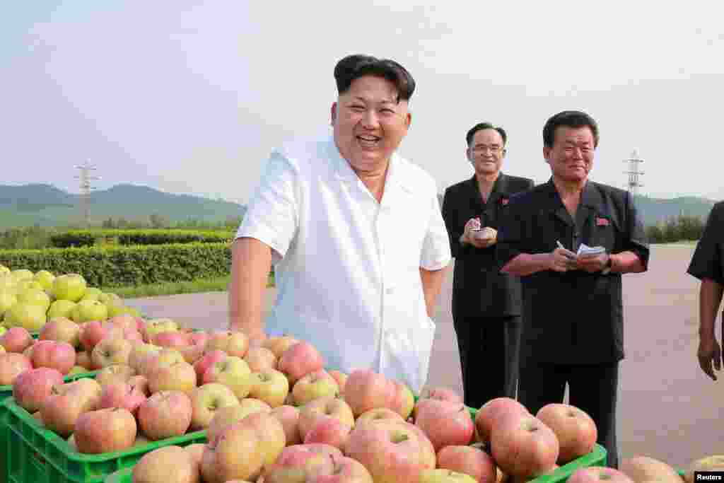 Севернокорейский президен Ким Чен Ын помогал своим согражданам собрать молодильные &nbsp;яблочки на одной из ферм, хотя по большей части только командовал