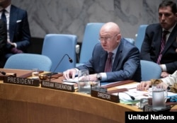 "Человек-вето" – постоянный представитель России при ООН Василий Небензя