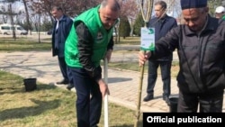 Хоким Ташкента Джахонгир Артыкходжаев участвует в посадке деревьев.