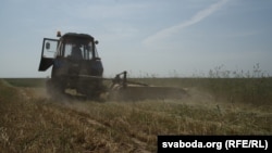 Уборачная ў Беларусі. Архіўнае фота