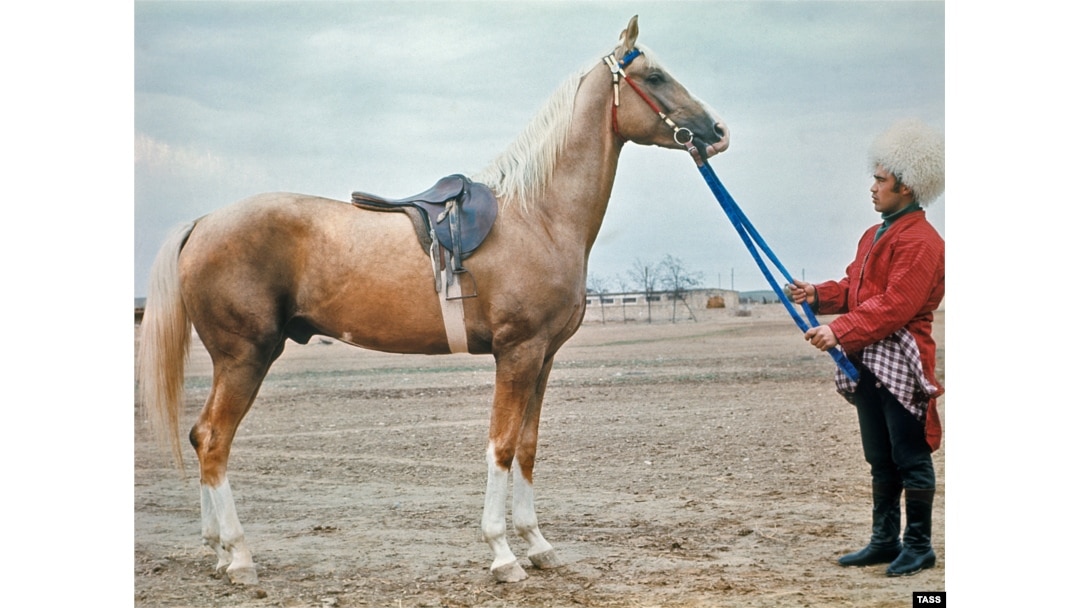 Мен досымды күйеуіммен жыныстық қатынасқа түсуге әкелдім.