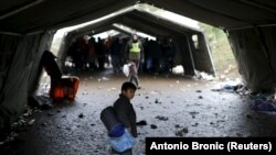 Migranti u blizini sela Berkasovo na putu ka hrvatskoj granici