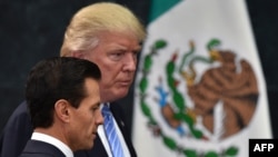 Meksički susreti: Enrique Pena Nieto i Donald Trump