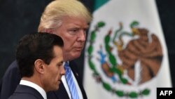 Кандидат у президенти США Дональд Трамп і президент Мексики Енріке Пенья Ньєто перед спільною прес-конференцією у Мехіко, 31 серпня 2016 року