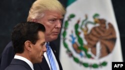 Мексиканскиот претседател Енрике Пења Нието и американскиот претседател Доналд Трамп. Мексико, 31.08.2016. 