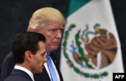 Дональд Трамп и Энрике Пенья встречались один раз – когда будущий президент США прилетел в Мехико 31 августа 2016 года